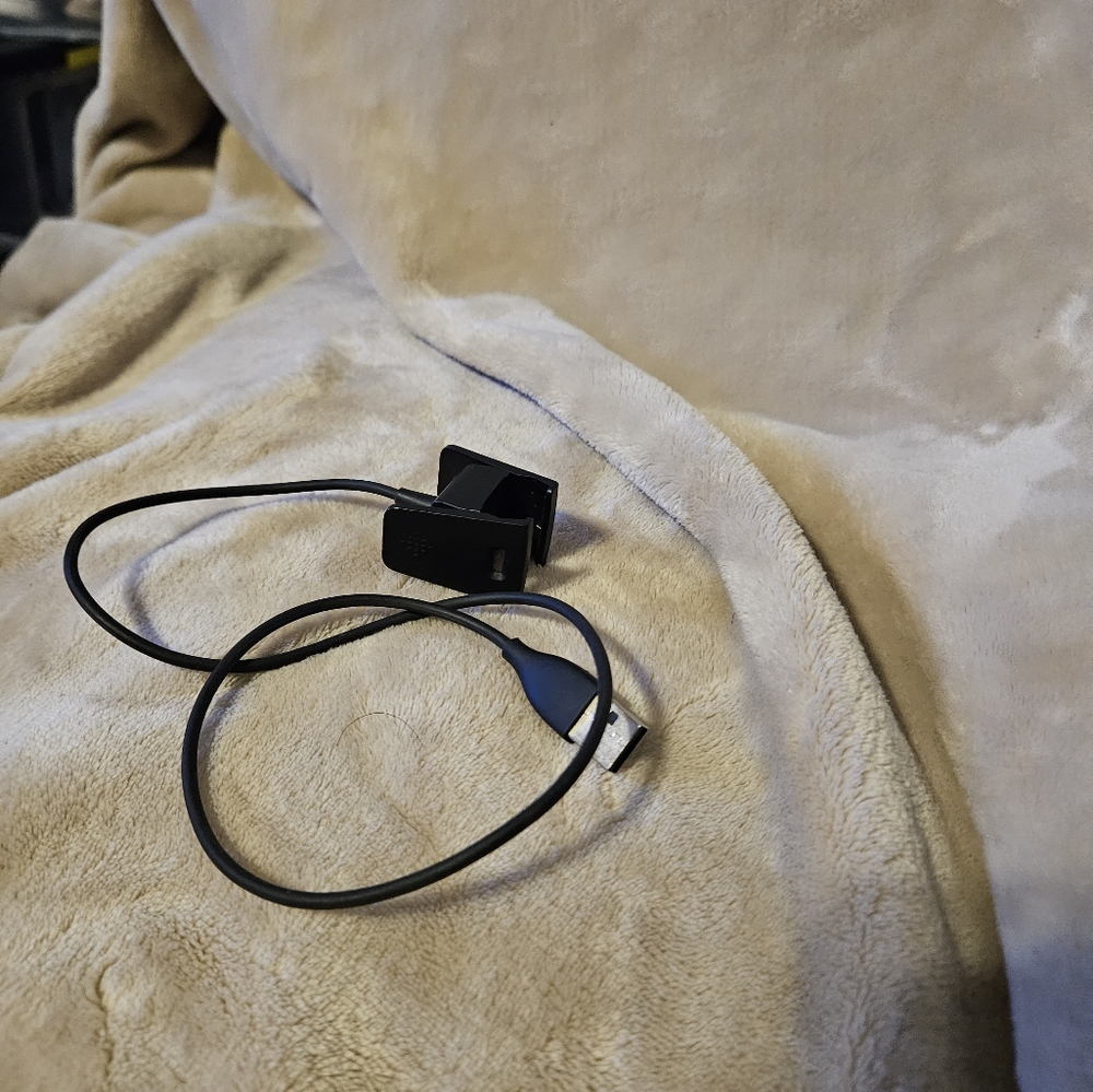 Fitbit charger